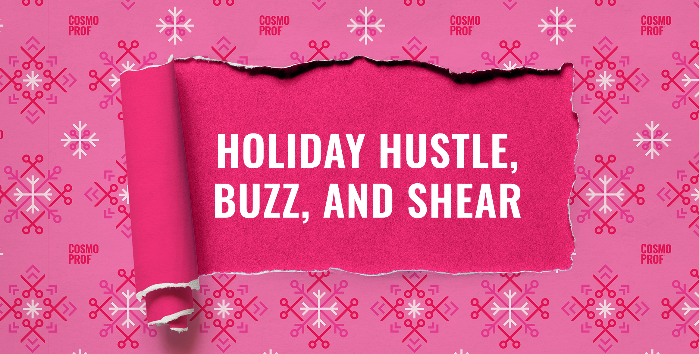 Cosmo Prof Holiday Branding