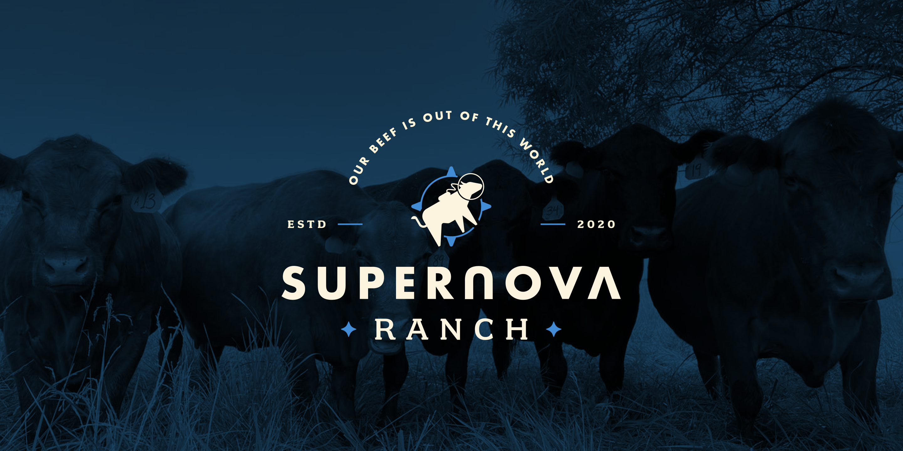 Logo Design for Empower Leadership Summit